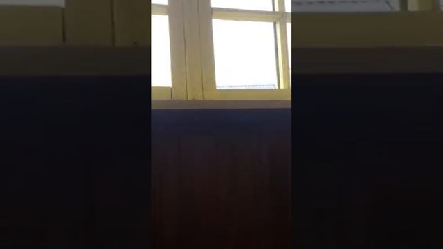 Дача смотреть онлайн