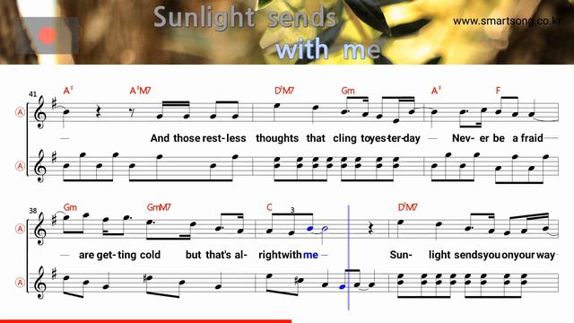Listening for the weather - Bic Runga (Alto Saxophone Sheet Music Bb Key / Karaoke /Easy Solo Cover смотреть онлайн