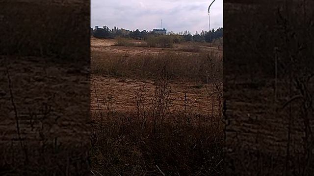 Псп пневматика стрельба на дистанцию 75 м пулями шершень 0.75 гр смотреть онлайн