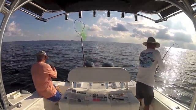 Grouper Fishing