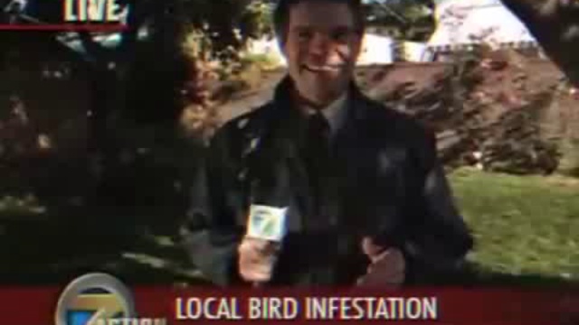 Меткое откладывание смотреть онлайн