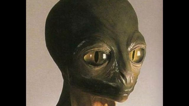 Низшие Темные и Высшие Темные