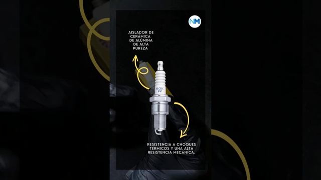 ¿??? ??É  ?????? ?????? ????