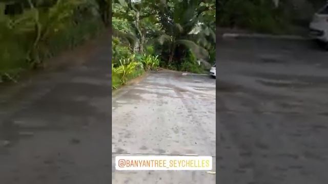 Лучшие сторис Анастасия Макеева (@makeevan) подборка за день ? 2/2/2020 смотреть онлайн