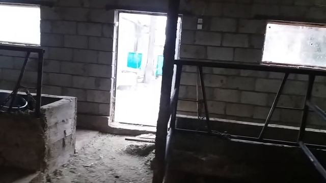 (43) сдал 4х быков на мясо. смотреть онлайн