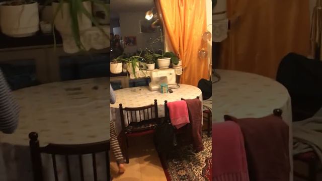Тимур (10лет) поведение: вечер смотреть онлайн