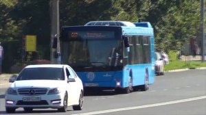 Автобус МАЗ-203 «Московский Транспорт»