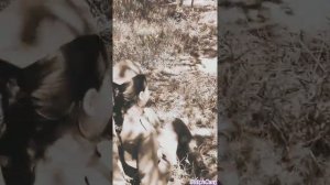 ПЕСНЯ " МЕСЯЦ МАЙ"