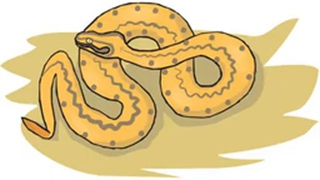 Змея. Картинки для детей, трафареты, шаблоны для рисования, раскраски. Альбом от DETKIru.net смотреть онлайн