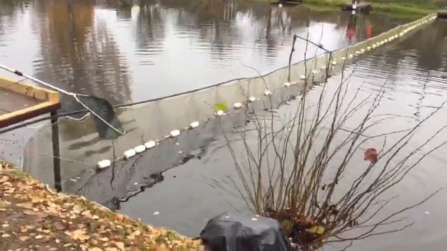 Осенняя форель на пасту в РК Фишка Липки смотреть онлайн