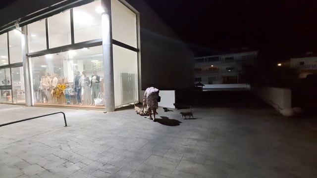 коты Кипра. смотреть онлайн