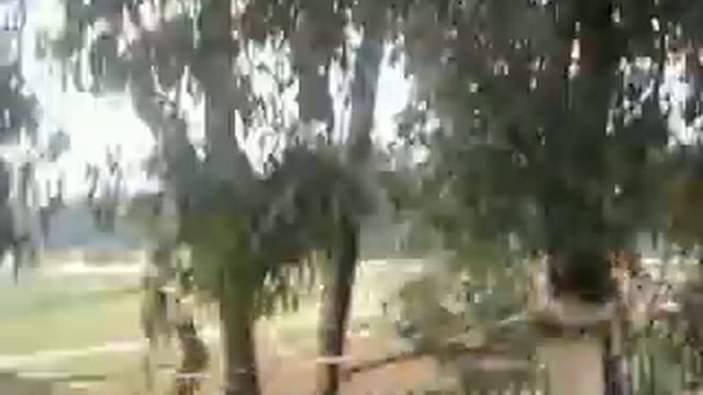 скачки на лошадях смотреть онлайн