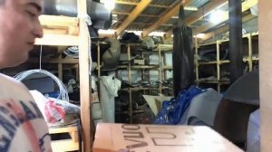 Пеноплекс и муравьи