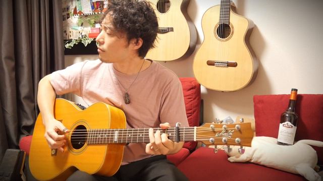 Tommy Emmanuel「Windy and Warm」Fingerstyle solo guitar By龍藏Ryuzo смотреть онлайн