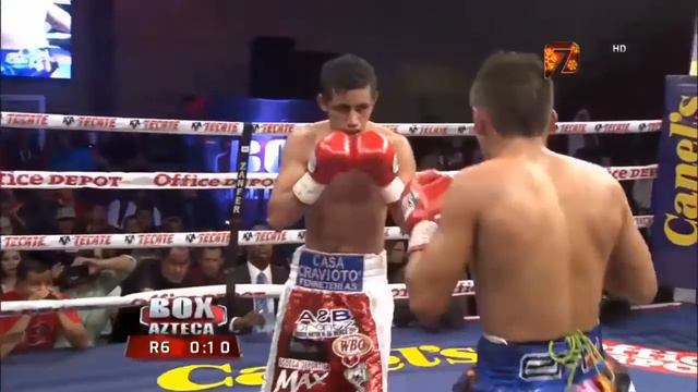 Francisco "Chihuas" Rodriguez vs Moises "Moi" Fuentes BkBrown Bruce смотреть онлайн