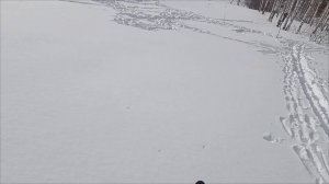 Мотосноуборд #Мотоснегокат полевые испытания лыжного модуля и новых дороботок