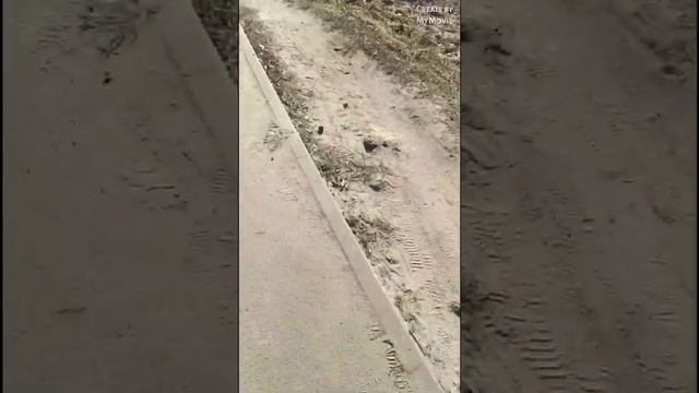 ЕДУ ДОМОЙ ПОСЛЕ ТРЕНИРОВКИ!!! смотреть онлайн