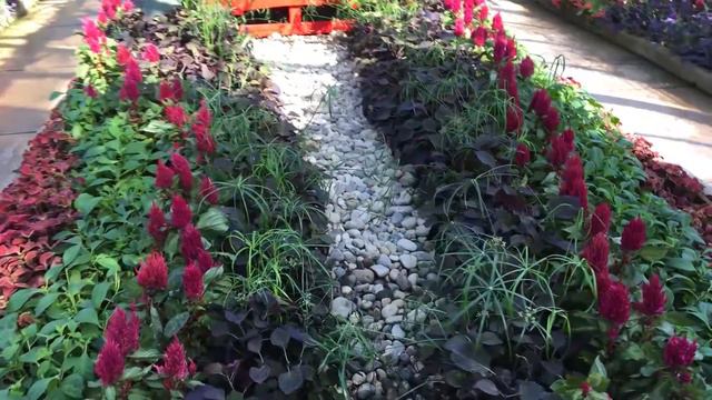 Floral Showhouse Summer Show смотреть онлайн