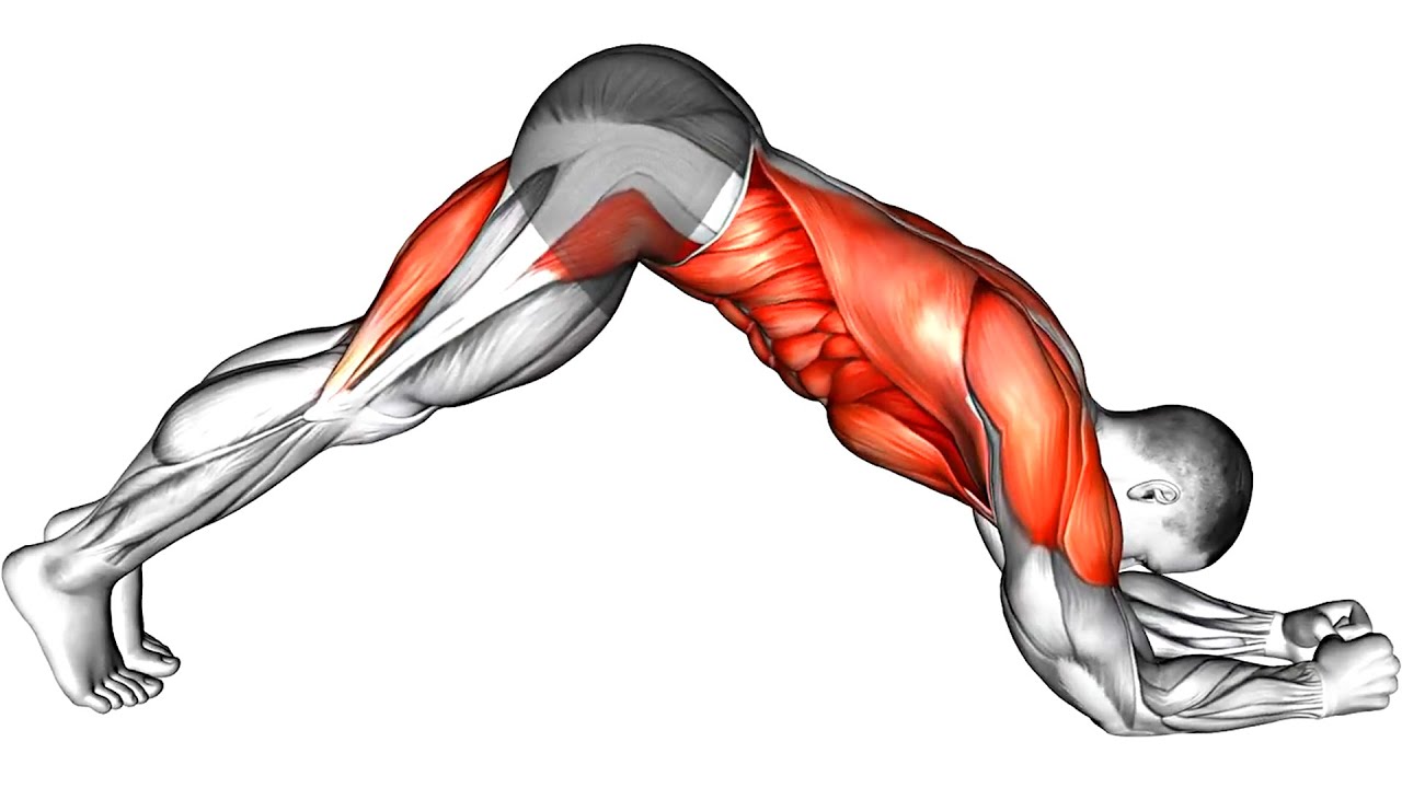 Полное сжигание жира | Лучшая тренировка Планки (узкая талия и плоский пресс)