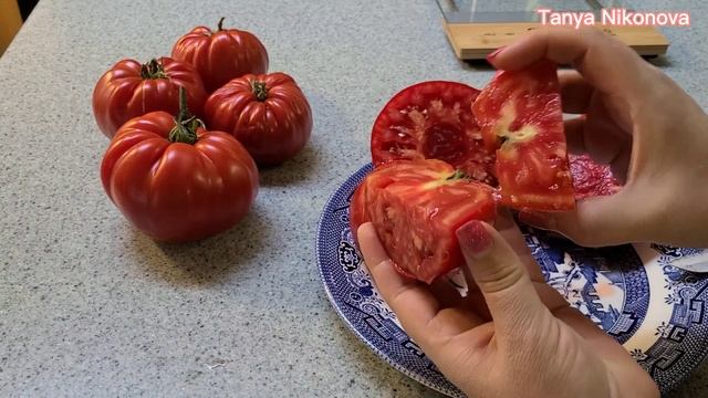ДЕГУСТАЦИЯ И ОБЗОР ТОМАТА МЕЧТА ВЕЛИКАНА. смотреть онлайн