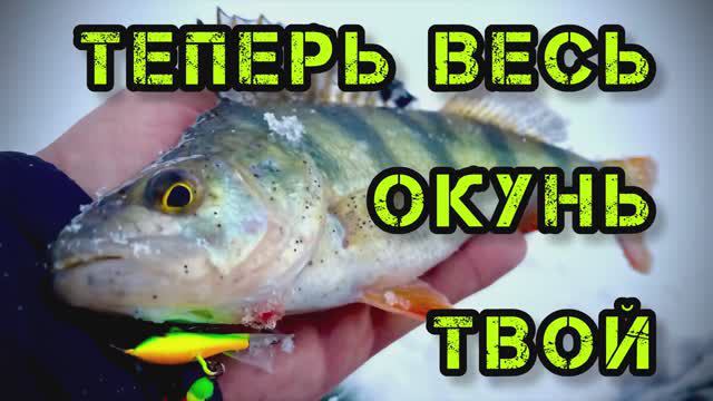 Техника ловли окуня на балансир. Игра балансиром, подбор снастей. Ловля окуня на балансир зимой смотреть онлайн