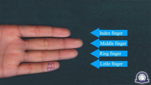 Lesson 24 Dynamic Verb Phrases of Present, Past and Future Perfect and Perfect Continuous Tenses смотреть онлайн