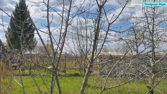 Едем на природу в деревеньку под Рязанью. Прогулка на авто 6 мая 2022. Подышите с нами природой смотреть онлайн