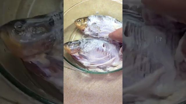Жареный КАРАСЬ БЕЗ КОСТЕЙ в СМЕТАНЕ ! ПРОСТО и ОЧЕНЬ ВКУСНО !!! смотреть онлайн