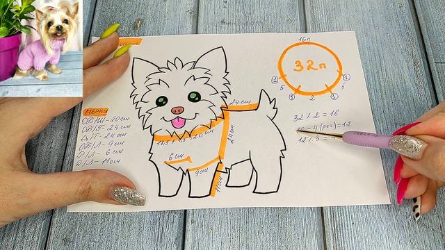 Мастер-класс по расчету петель для вязания крючком одежды с регланом для собак от Skywool смотреть онлайн