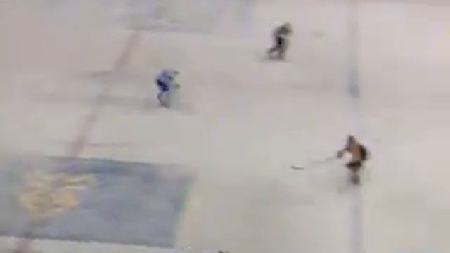 29.12.2004 РХЛ. "Лада"(Тольятти)-"Химик"(Воскресенск) смотреть онлайн