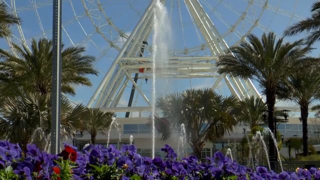 ORLANDO EYE - PANASONIC HC X920 - OPENING SOON смотреть онлайн