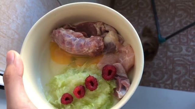 DOGVLOG:жизнь моих собак,кормление собак сырым мясом.БАРФ. показала себя в видео. йорки маркус и юс смотреть онлайн