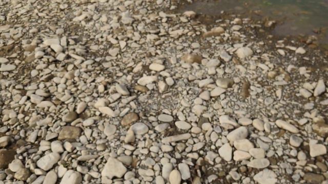 Вылазка на речку за декором смотреть онлайн