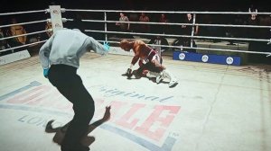 Бой величайших боксеров Мохамеда Али и Эвандера Холифилда. Обзор игры fight night champion