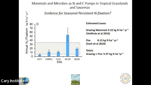 Drivers of Ecosystem-level Coupled Carbon and Nitrogen Pumps in Savannas смотреть онлайн