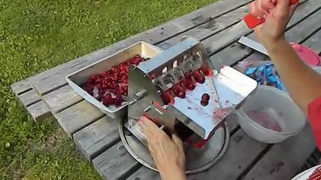 TSM Cherry Pitter with Carmine Jewel Tart Cherries 2018 08 12 смотреть онлайн