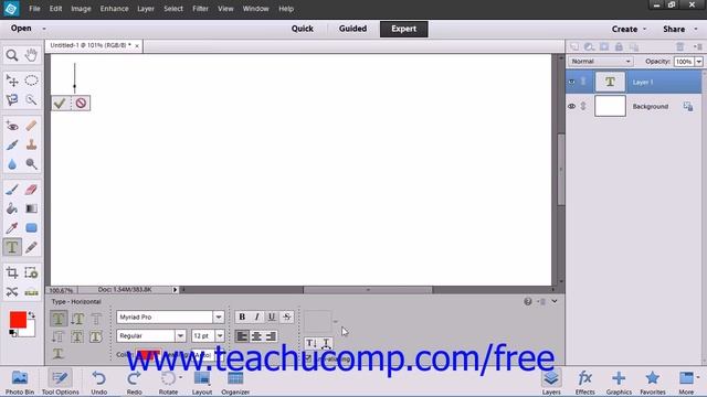 Photoshop Elements 12 Tutorial Entering Text Adobe Training Lesson 11.2 смотреть онлайн