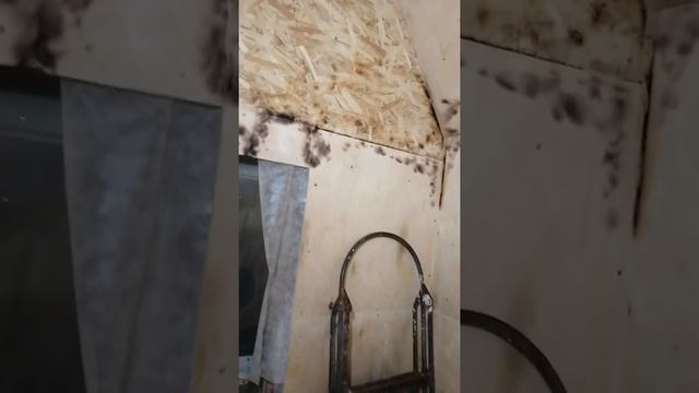 Ремонтный Камертон