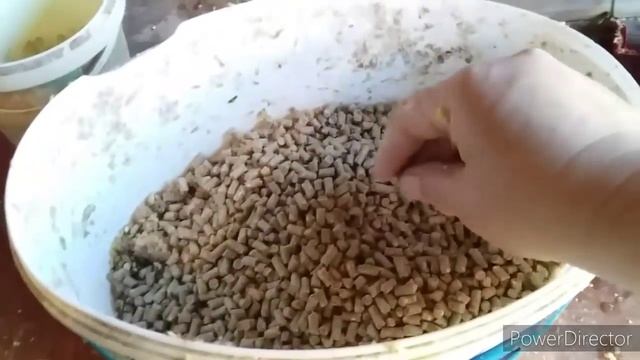 Как Быстро и Дешево Откормить Петухов?//Чем Кормить Петухов на Мясо? смотреть онлайн