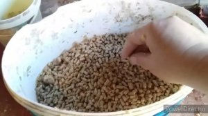 Как Быстро и Дешево Откормить Петухов?//Чем Кормить Петухов на Мясо?