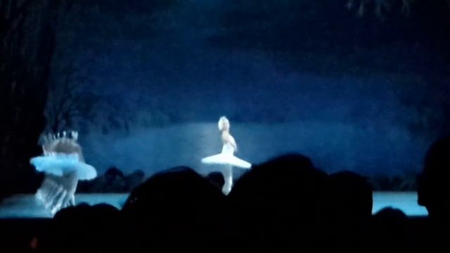 Лебединое озеро 29 сентября 2018 Одетта смотреть онлайн