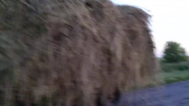 ВОЗИМ СЕНО НА ТРАКТОРЕ ЮМЗ смотреть онлайн