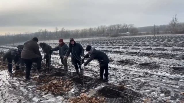 Я знаю, город будет! Я знаю, саду - цвесть, когда ТАКИЕ люди в краю в Донецком есть! смотреть онлайн