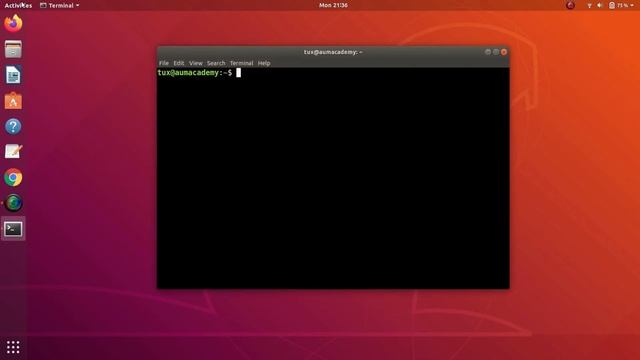 Linux Terminal Customization | Customizing Your Linux Terminal смотреть онлайн