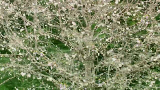 Volt egyszer egy Erdő 2013 (Once upon a Forest) смотреть онлайн