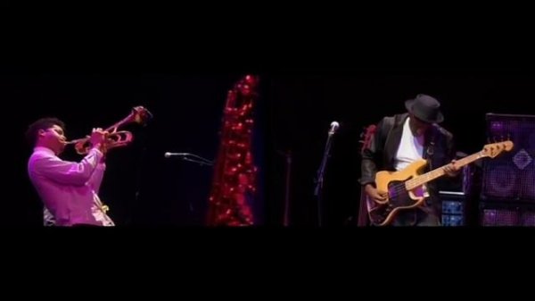 Marcus Miller - Tutu - LIVE