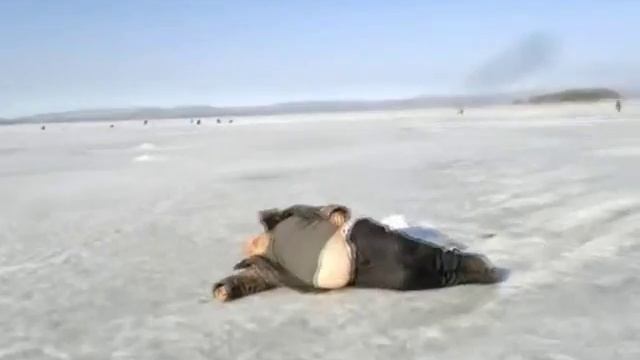 Про толстых смотреть онлайн