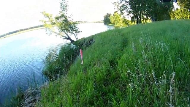 Реальная рыбалка. Озеро близ села Парфеново, Алтайский край. Лето - июнь Продолжение смотреть онлайн