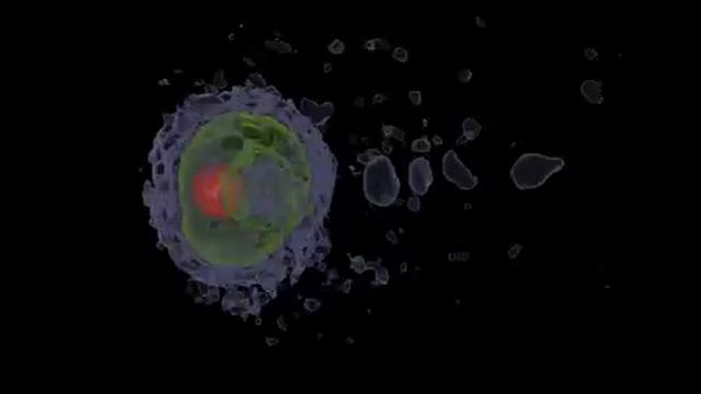 Bubble смотреть онлайн