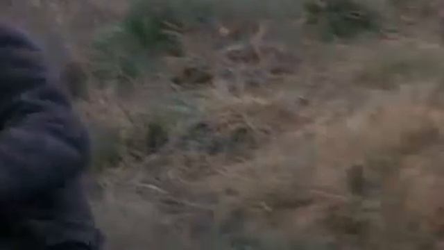 L'Agnese va a morire. Ennio Morricone смотреть онлайн
